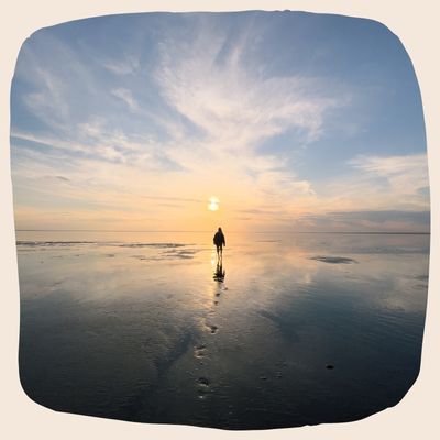 Un r&ecirc;ve construit pas apr&egrave;s pas