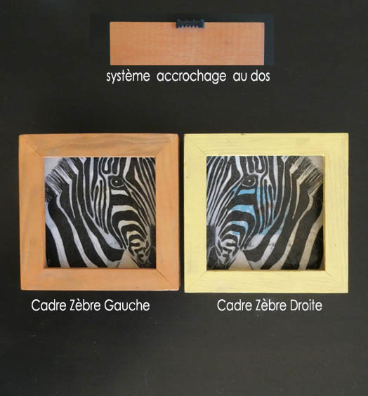 Cadre z&egrave;bre &agrave; Saint Onen La Chapelle