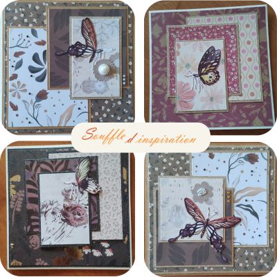 S&eacute;rie Papillon