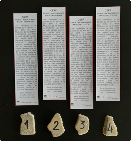 Animaux Totem Cerf  * Verso *